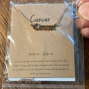 Pair of Gold and Silver Cancer Zodiac Astrology Necklace with Dainty Chain‎